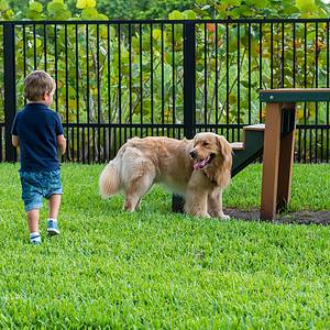 Boy playing with dog at fenced in dog park with green grass
